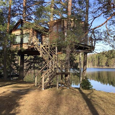 Treehouse Ciekurs Villa Dukuri Kültér fotó