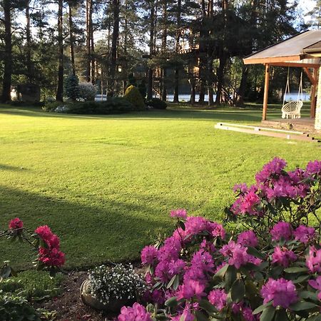 Treehouse Ciekurs Villa Dukuri Kültér fotó