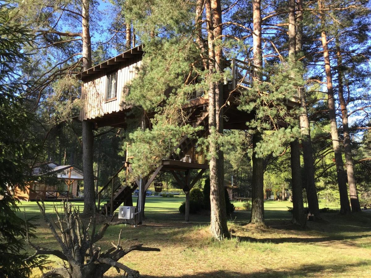 Treehouse Ciekurs Villa Dukuri Kültér fotó