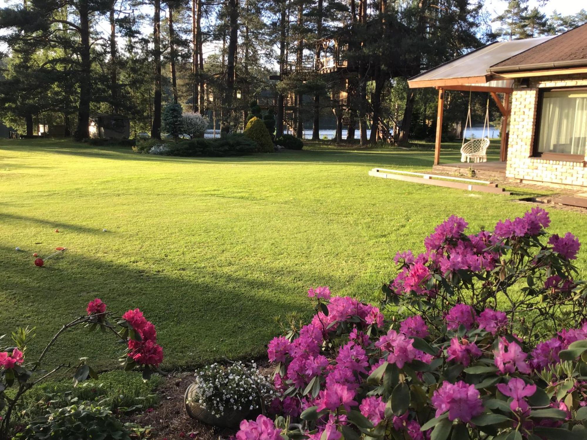 Treehouse Ciekurs Villa Dukuri Kültér fotó