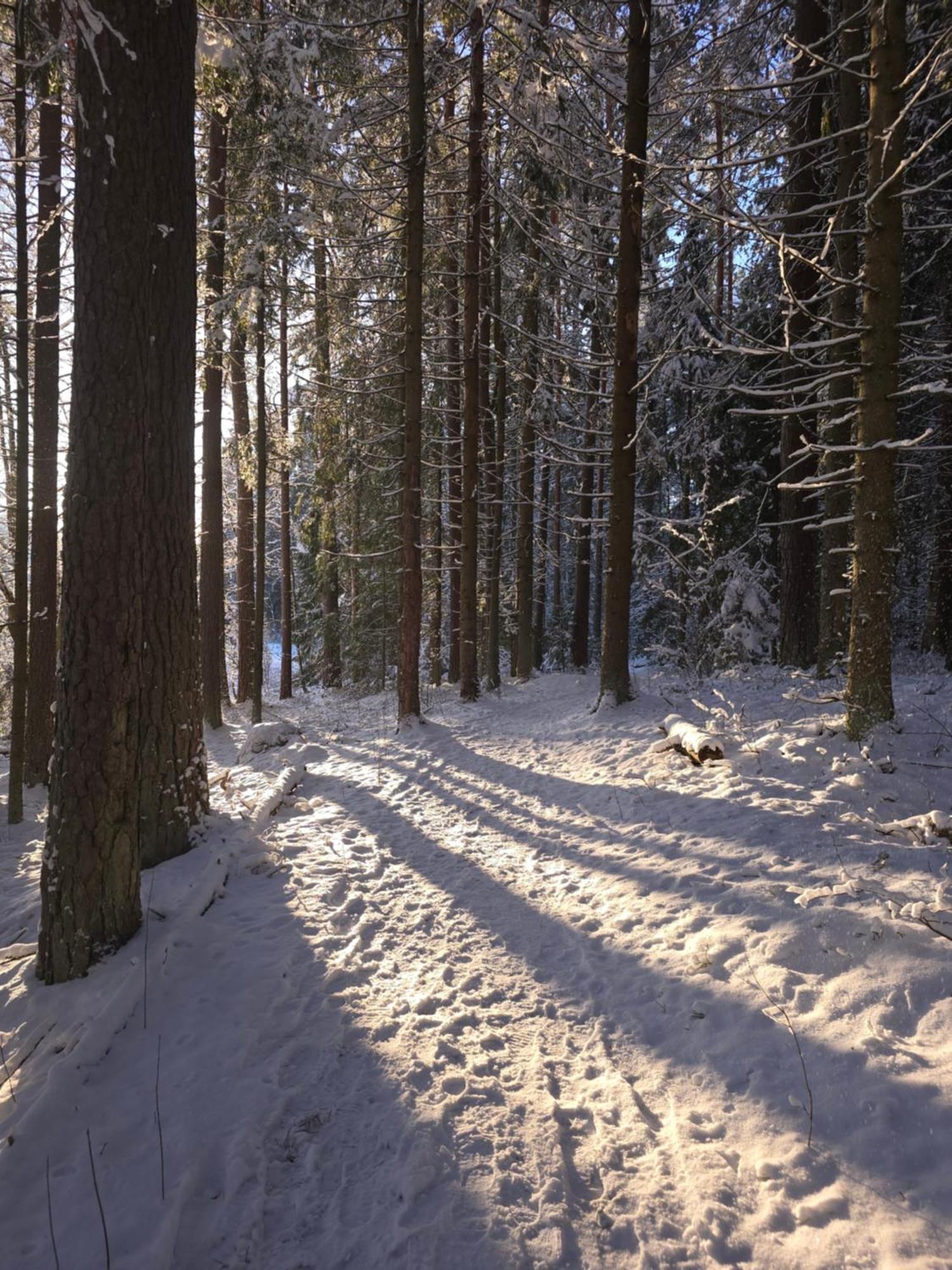 Treehouse Ciekurs Villa Dukuri Kültér fotó