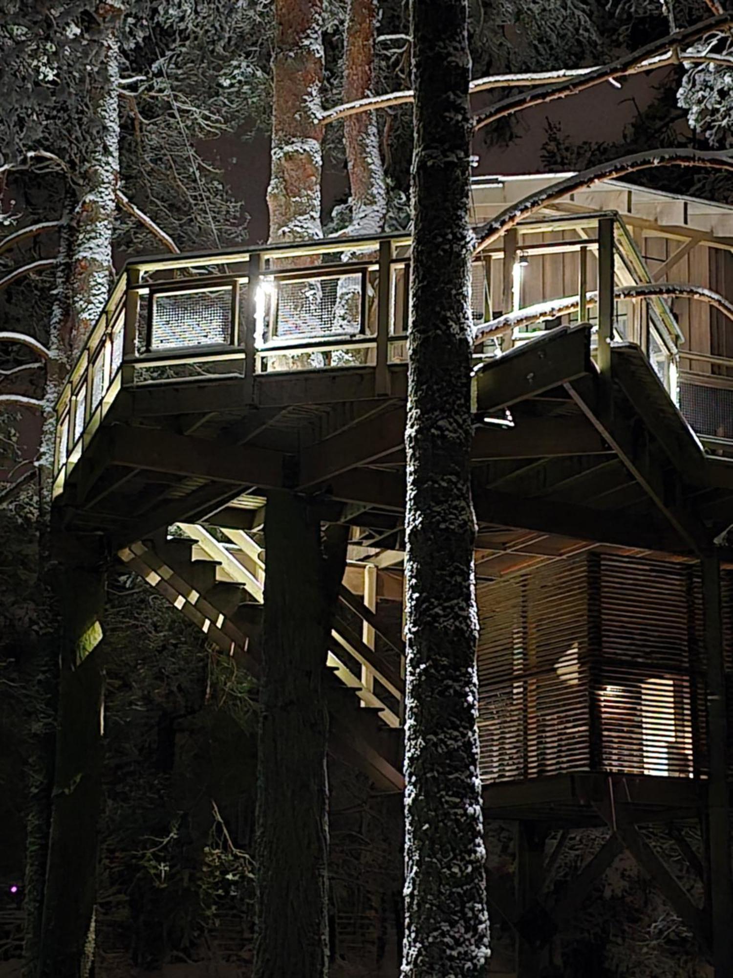 Treehouse Ciekurs Villa Dukuri Kültér fotó