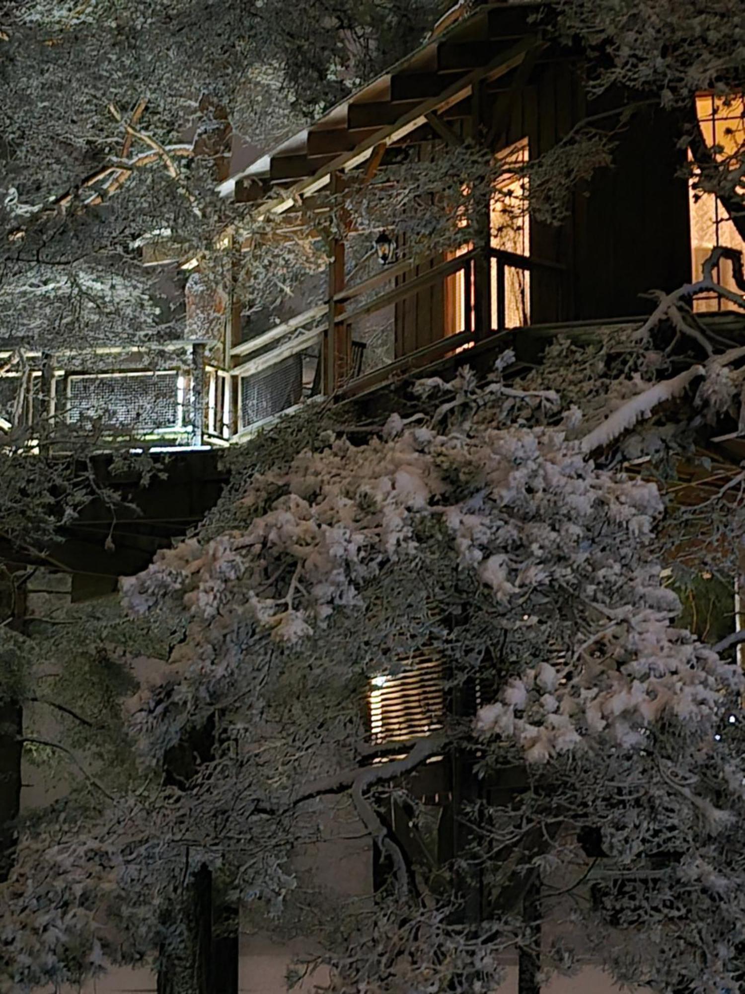 Treehouse Ciekurs Villa Dukuri Kültér fotó