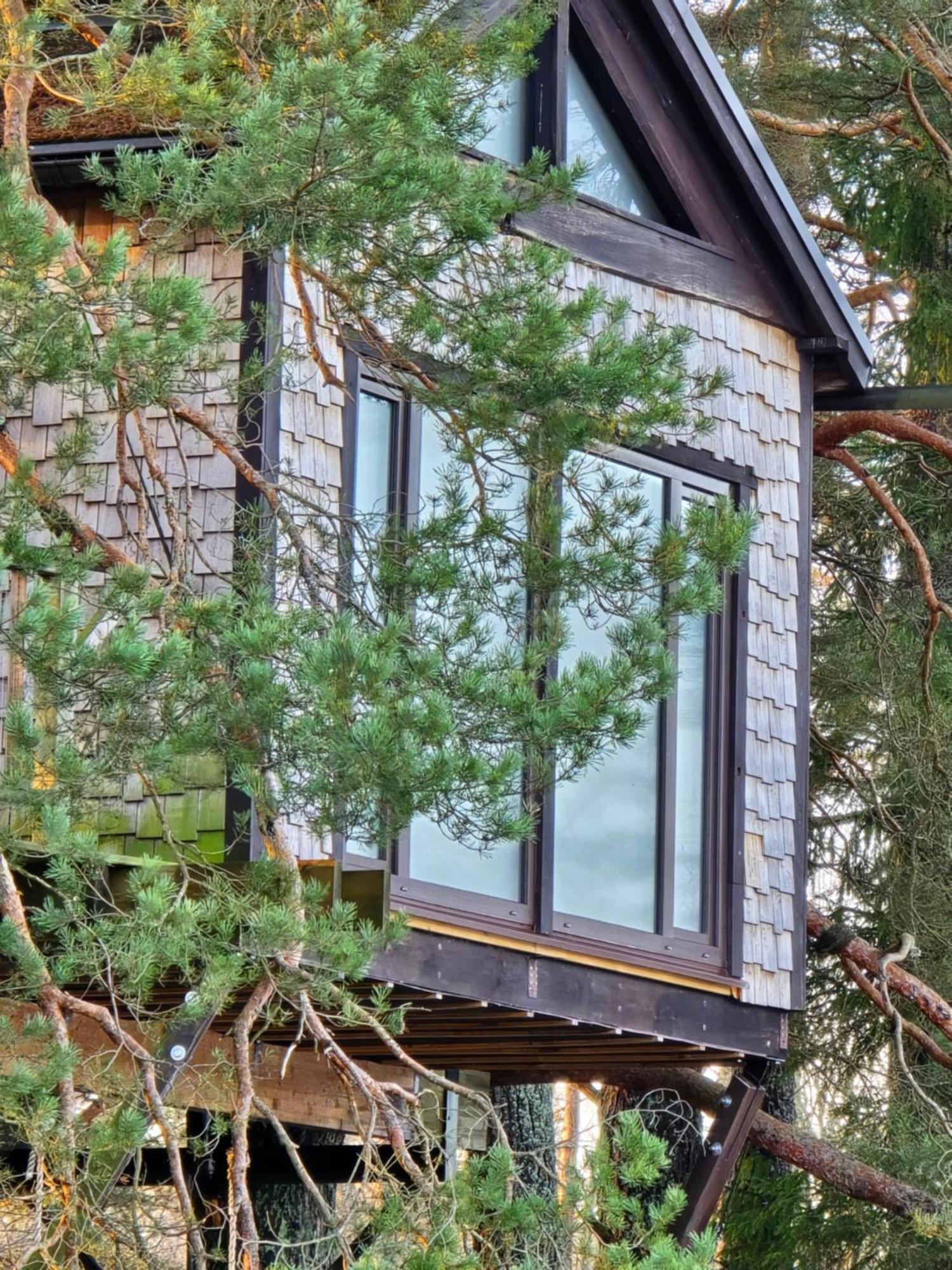 Treehouse Ciekurs Villa Dukuri Kültér fotó