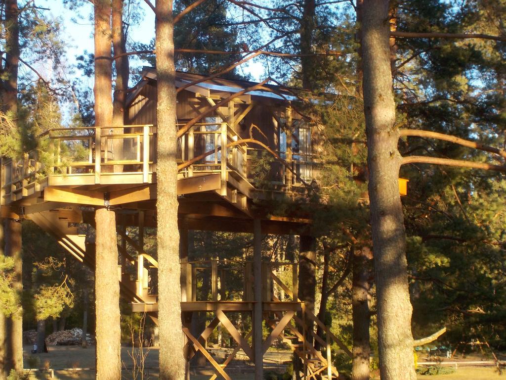 Treehouse Ciekurs Villa Dukuri Kültér fotó