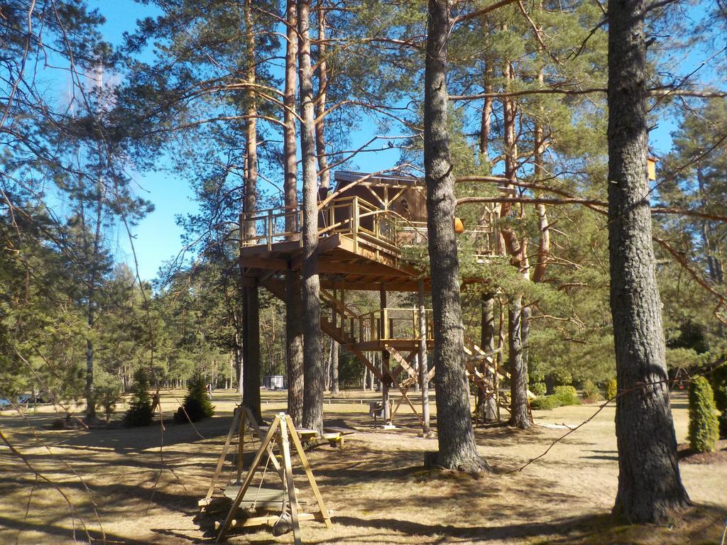 Treehouse Ciekurs Villa Dukuri Kültér fotó