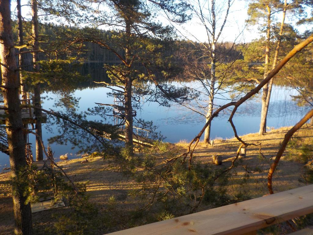 Treehouse Ciekurs Villa Dukuri Kültér fotó