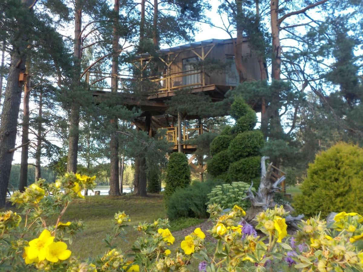 Treehouse Ciekurs Villa Dukuri Kültér fotó